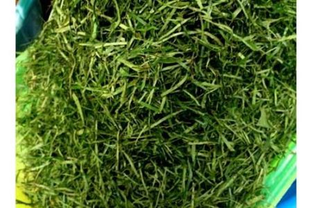 Afang / Ukazi- 1 Large Heap (Sliceed) (Local Market)