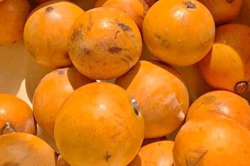 Agbalumo/Udala – 4pcs