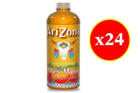 Arizona Drink 20 FL Oz - Carton (x24)