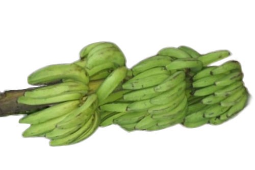 Banana Bundle Big Seed