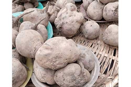 Beetroot, medium size- 5pcs (Local market)