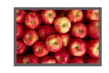 Red Apples, Slate - 25 pcs