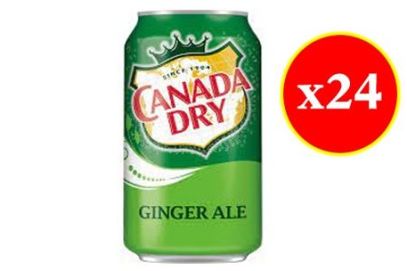 Canada Dry Ginger Ale - Carton (x24)