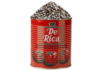 Castor Oil Seed - 1 Derica (0.5kg)