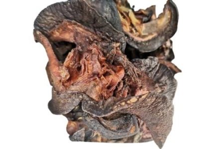 Dried Snails (large) - 20 pcs