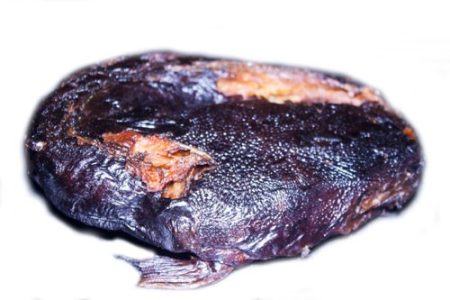 Dry CatFish "From Sea"- 5 Pcs Medium Size, About 1.2kg (Local market)