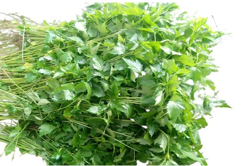 Ewedu Leaves- 1 Small Bunch (Local Market)