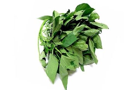 Fresh Bitter Leaf-1 Bunch (Local Market)