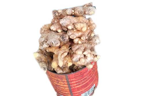 Fresh Ginger- Half Paint (Local market)