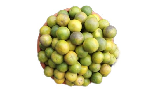 Fresh Oranges (25 Pieces)