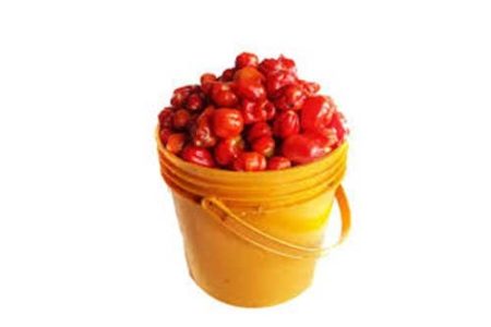 Fresh Rodo Pepper - paint (Local Market)