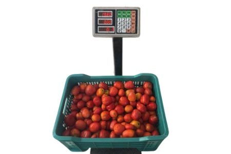 Fresh Tatashe Pepper - Half crate- 5kg