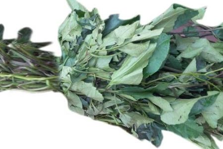 Fresh Ugu / Pumpkin Leaves - 1 Bunch (Local Market)