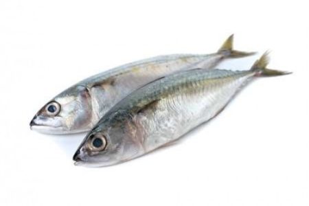 Frozen Kote Fish - 1kg Local Market