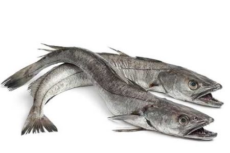 Frozen Panla / Hake Fish-1kg (Local Market)