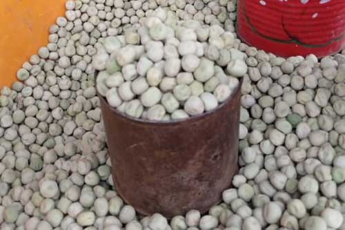 Green peas, dry – 160g