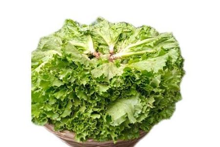 Lettuce - 3 heads, About 0.45kg (Local market)