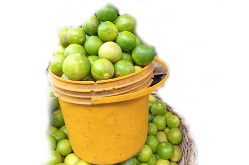 Lime 1 Paint, About 3.2kg (local market)