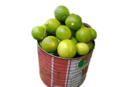 Lime Half Paint, About 1.7kg (local market)