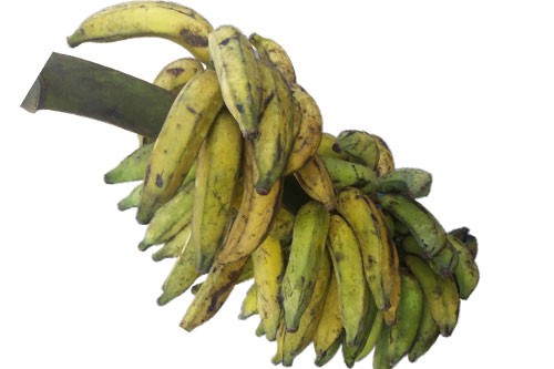 Local Banana Bundle (Kwaranta) – Small seed