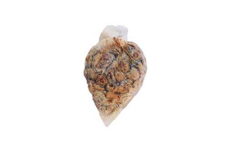 Locust bean / Iru "Kpete"- 1 Wrap, About 0.04kg (Local market)