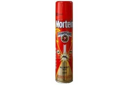 MORTEIN ALL INSECTS KILLER - 250ML
