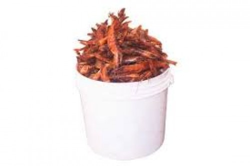 Red Prawns – 1 Derica (Local Market)