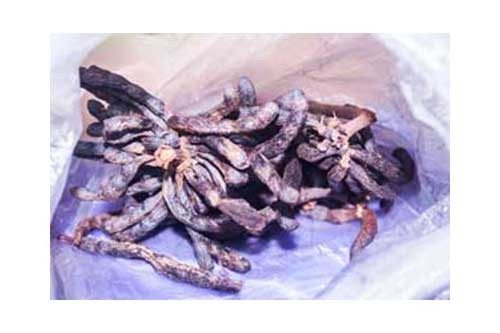 Uda Spice, 1 Pack, About 140g, ( Local market)