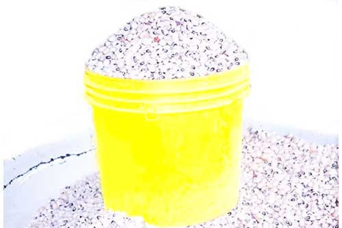 White(iron) beans – 1 Paint (Cleaned)