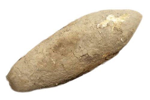 Yam “”Ada Onitsha””- 2 Medium Tubers ( Local Market)